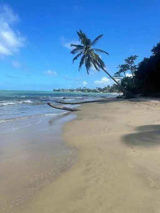 Apartamento 3Bedrm Beach Penthouse With Rooftop Terrace & Wifi Rio Grande Porto Rico