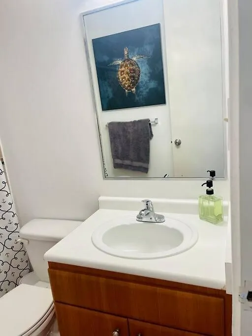 3Bedrm Beach Penthouse With Rooftop Terrace & Wifi Rio Grande Apartamento