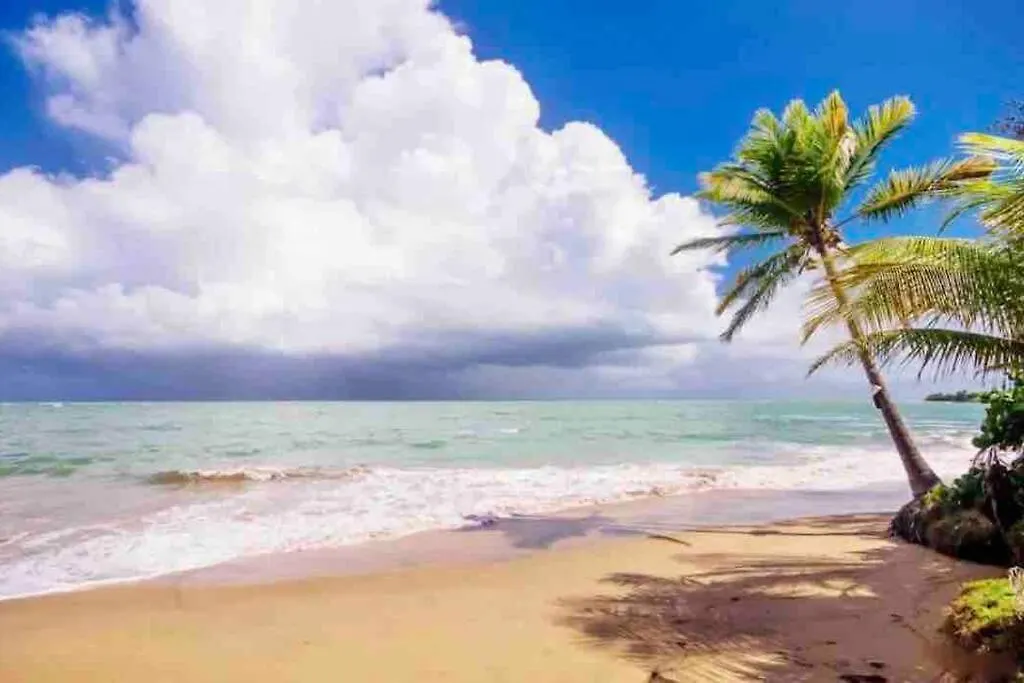 3Bedrm Beach Penthouse With Rooftop Terrace & Wifi Rio Grande